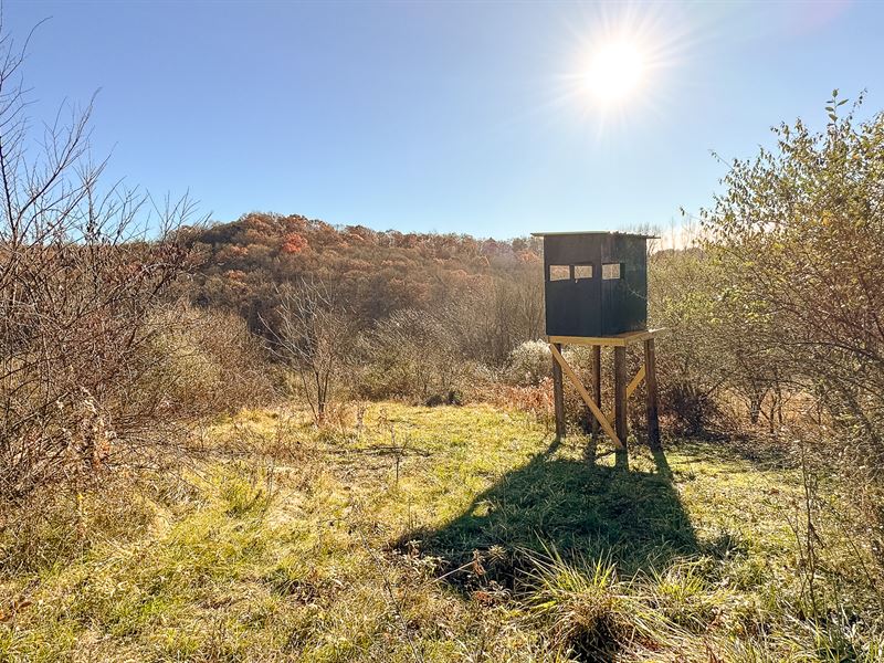 Jackson County, Ohio Land for Sale : Wellston : Jackson County : Ohio