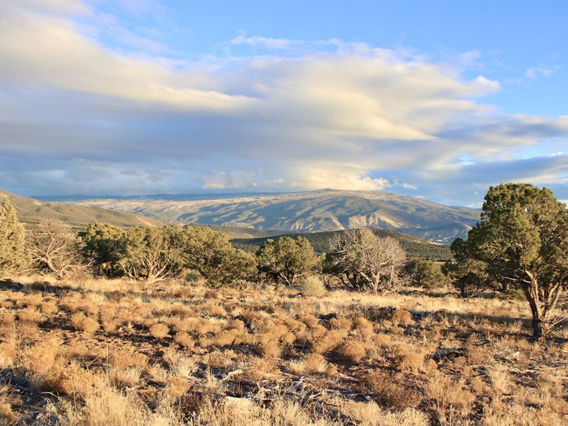 Lands End Road : Whitewater : Mesa County : Colorado