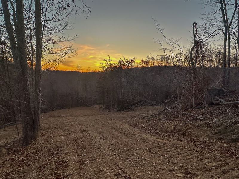 Gallia County, Ohio Land for Sale, Farm for Sale in Ohio, 363703