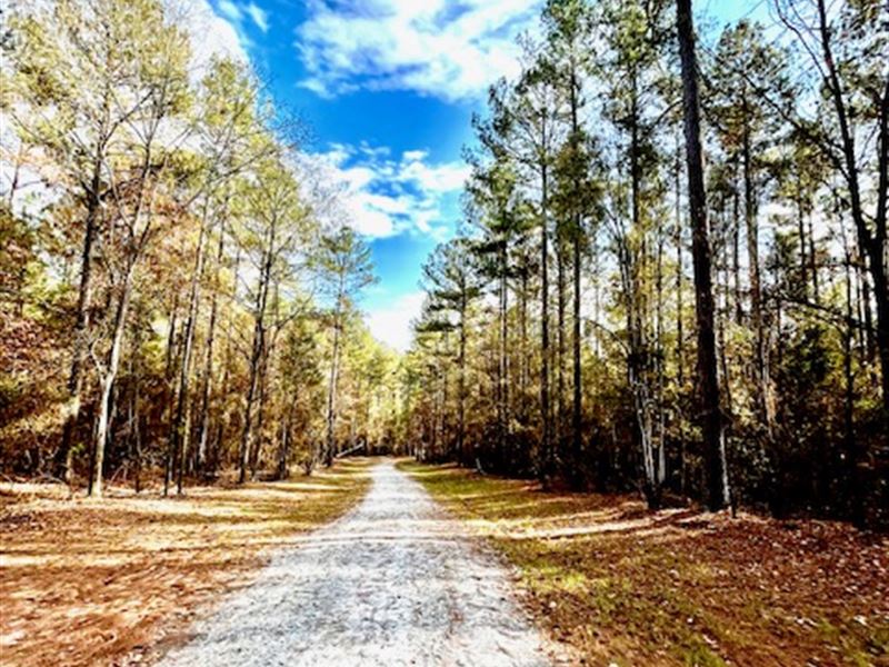 Beaverdam Creek Tract : Elberton : Elbert County : Georgia