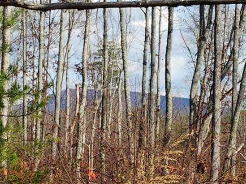 Mtn Views, Level, Close to Town : Crossville : Bledsoe County : Tennessee