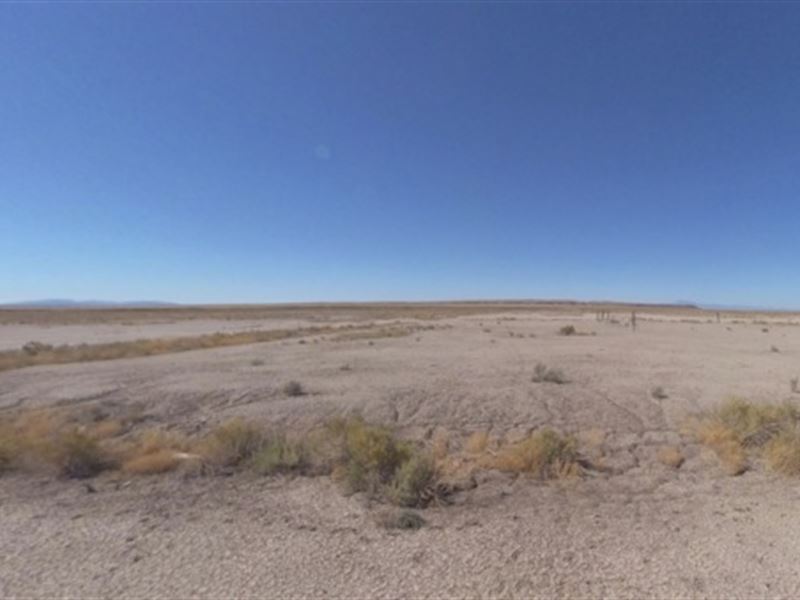 Investing Wisely on Delta, Utah, Farm for Sale by Owner in Utah