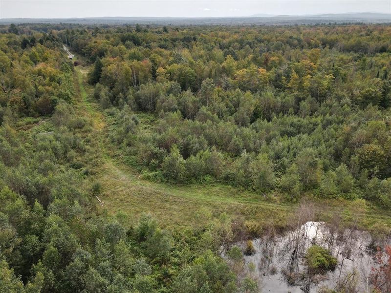 60+ Acre Parcel Near Newport : Palmyra : Somerset County : Maine