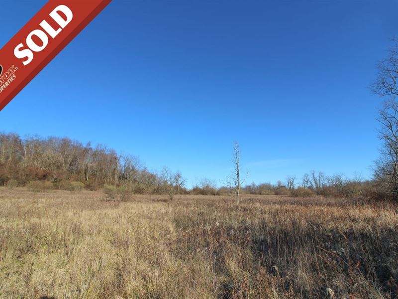 Mercer Rd, 56 Acres, Belmont Coun : Saint Clairsville : Belmont County : Ohio
