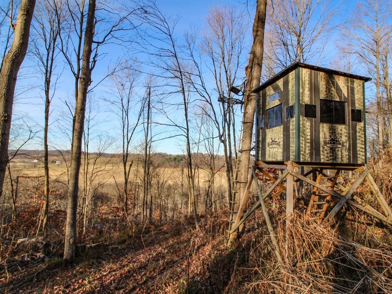 SR 60, 5 Acres, Coshocton County : Warsaw : Coshocton County : Ohio