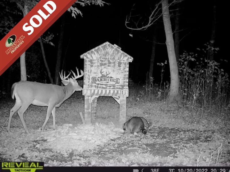 Virginia Ridge Rd, 7 Acres, Muski : Philo : Muskingum County : Ohio