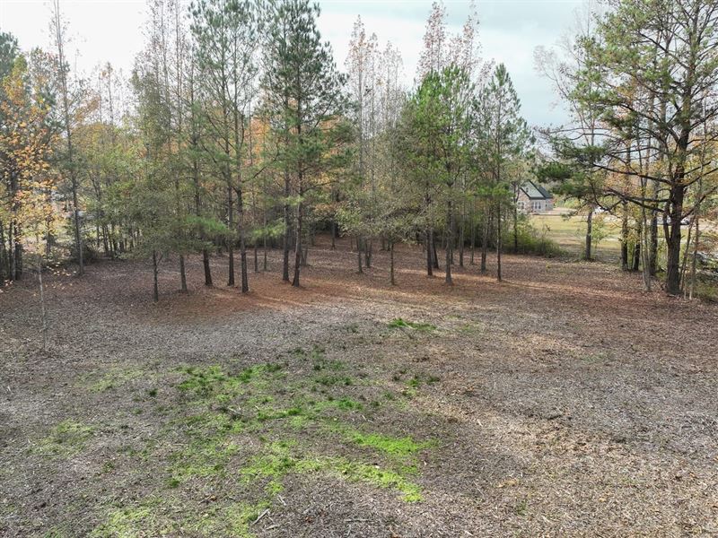 Beautiful 5 Acre Homesite in Autaug : Prattville : Autauga County : Alabama