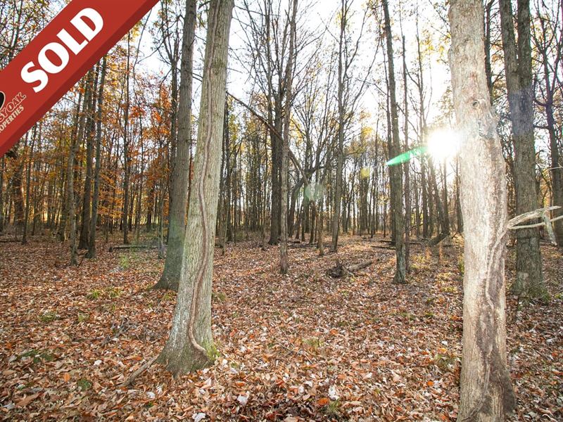 Lilly Rd, 9 Acres, Carroll County : Minerva : Carroll County : Ohio
