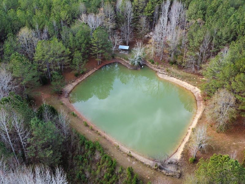 40 Acres Chambers County : Roanoke : Chambers County : Alabama