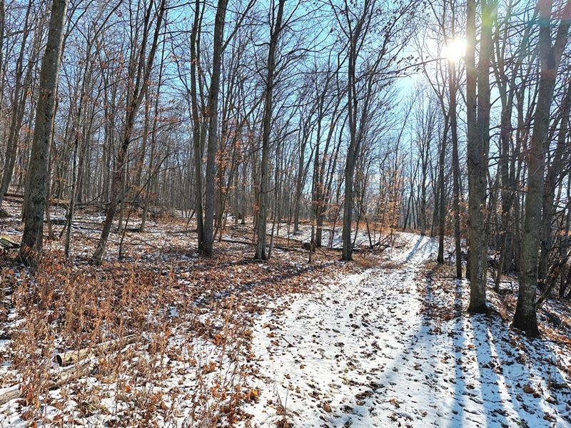 Haney Ridge Acreage : Gays Mills : Crawford County : Wisconsin