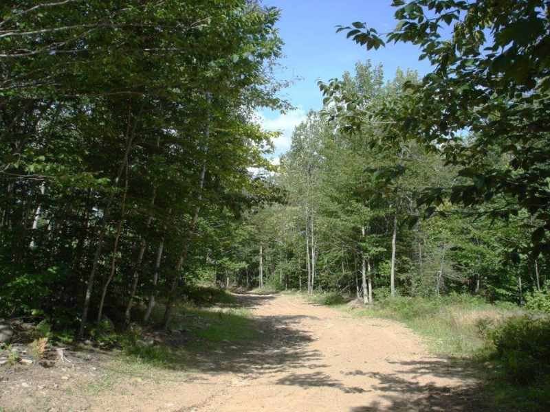 Wilmington Range Forest, Farm for Sale in New York, 364111 FARMFLIP