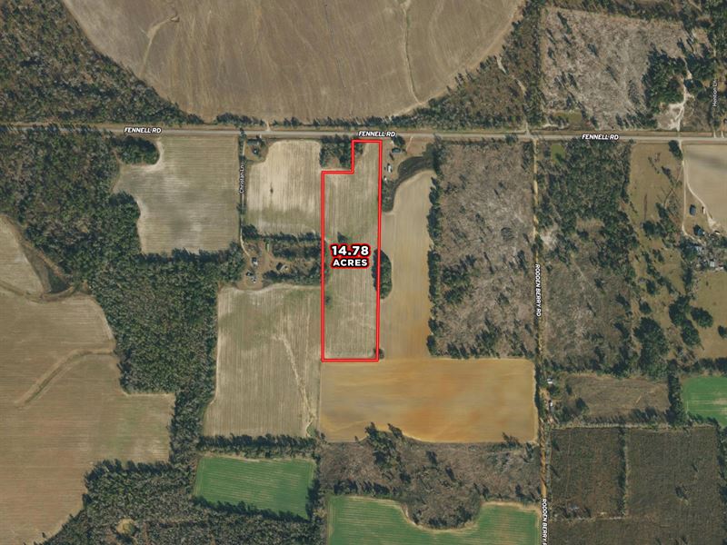 14.78 Acres Seminole County, GA : Donalsonville : Seminole County : Georgia