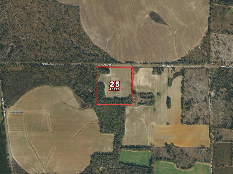 25 Acre Parcel Seminole County, GA : Donalsonville : Seminole County : Georgia