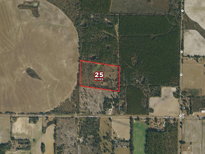 25 Acre Retreat Seminole County, GA : Donalsonville : Seminole County : Georgia