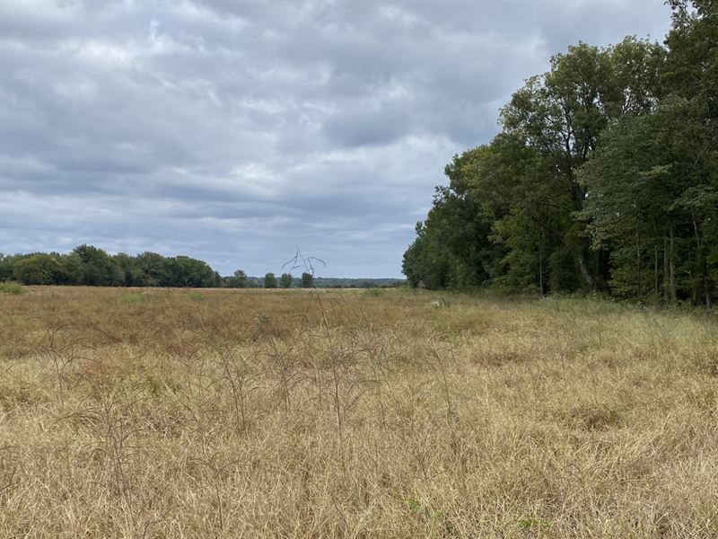 Small Farm with Potential, Farm for Sale in Arkansas, 364251 FARMFLIP