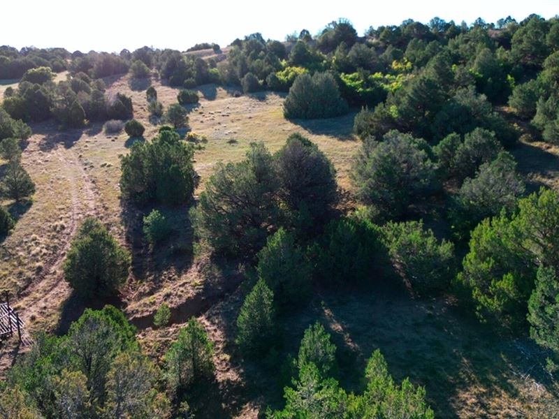 Bear Creek Rd, Walsenburg, Co 8 : Walsenburg : Huerfano County : Colorado