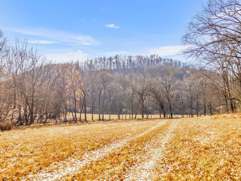 165.5 Acres of Prime Hunting/Recrea : Belfast : Marshall County : Tennessee