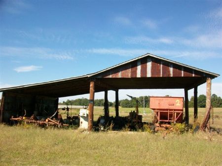 Beautiful Irrigated Country Farm : Cochran : Bleckley County : Georgia