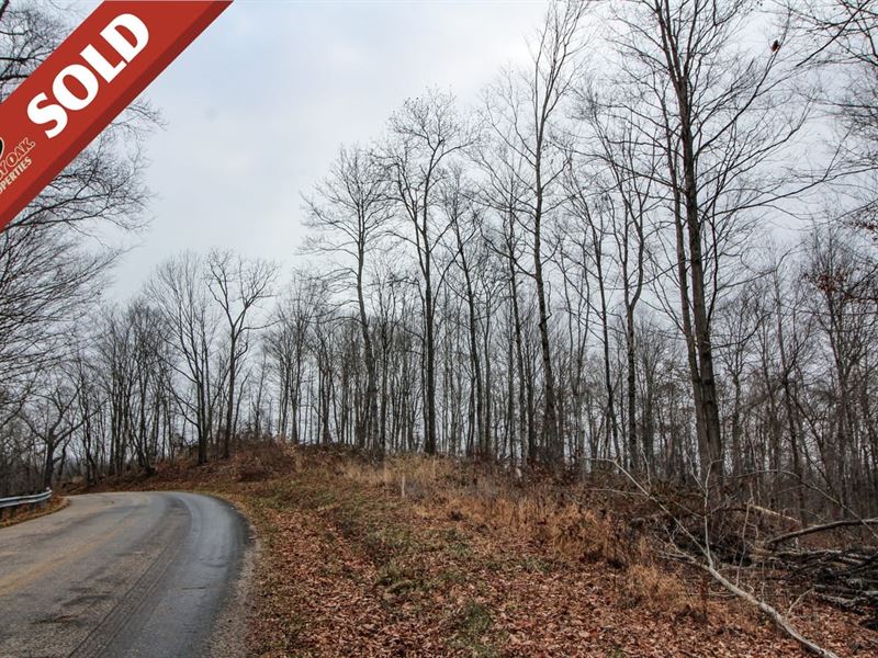 Zion Ridge Rd Lot 2, 13 Acres, WA : Marietta : Washington County : Ohio