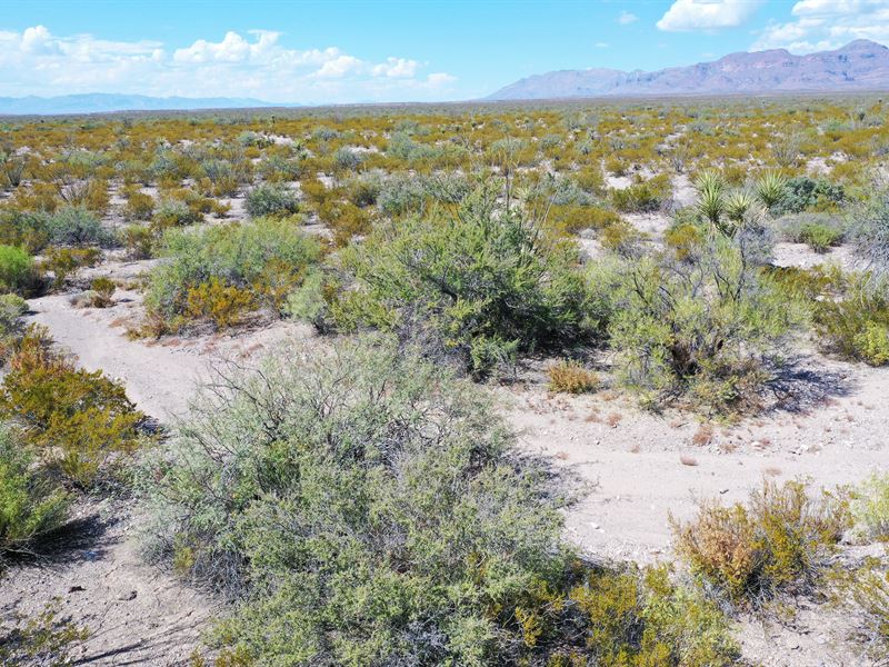 Remote 20 Acres with Easy Access : Adobes : Presidio County : Texas