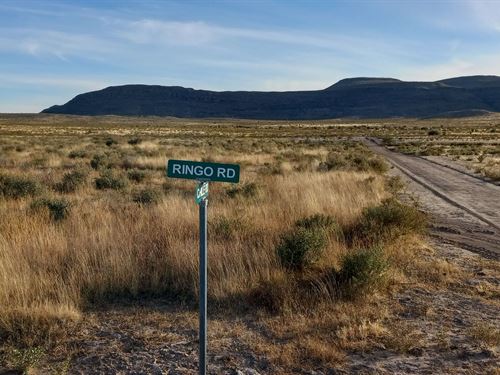 20 Acre Texas Ranch, Pmts Available : Sierra Blanca : Hudspeth County : Texas