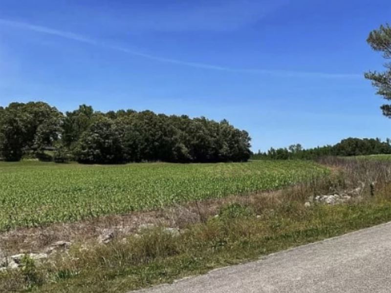 Build, Develop, or Grow : Jacks Creek : Chester County : Tennessee