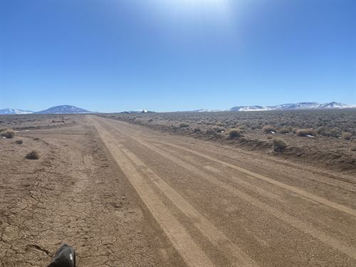 5 Acres Miles From The River : Sanford : Costilla County : Colorado