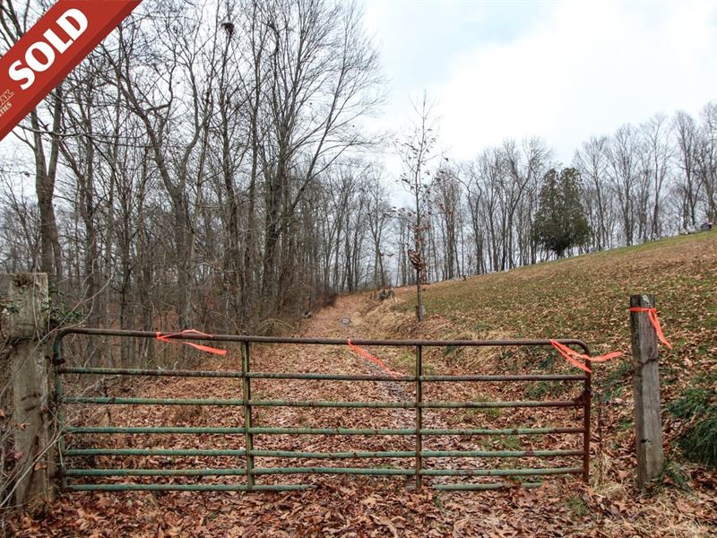 Mount Carmel Ridge Rd, 11 Acres : Saint Marys : Pleasants County : West Virginia