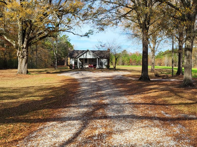Sylacauga Mini Farm 6 Acres, Home : Sylacauga : Talladega County : Alabama