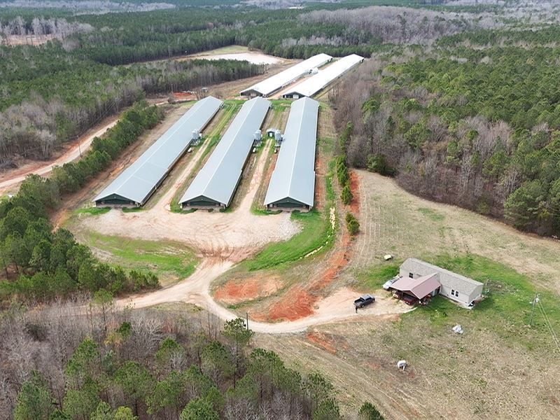 66+ Acre Poultry Farm Residence : Tignall : Wilkes County : Georgia
