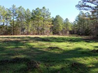 Pontotoc County, Timber, And Turke : Blue Springs : Pontotoc County : Mississippi