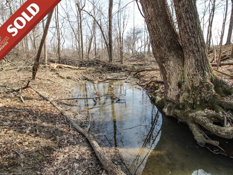 Hayes Rd, 12 Acres, Licking Count : Granville : Licking County : Ohio