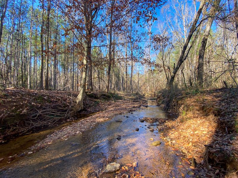 Lee Co, Alabama 68 Acres : Cusseta : Lee County : Alabama