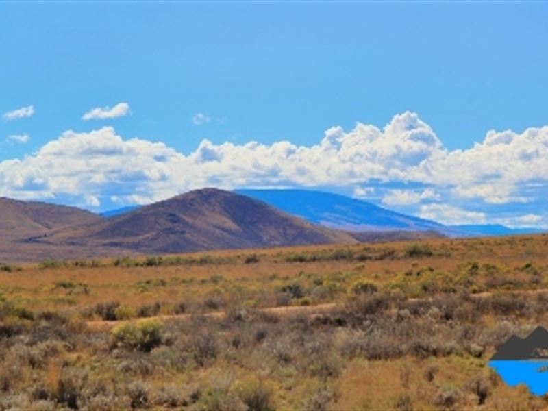 Own Not One, But 2 Connecting Lots : San Luis : Conejos County : Colorado