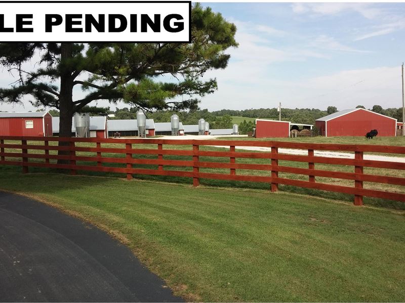 Beautiful 6 House Poultry Farm : Harrison : Boone County : Arkansas