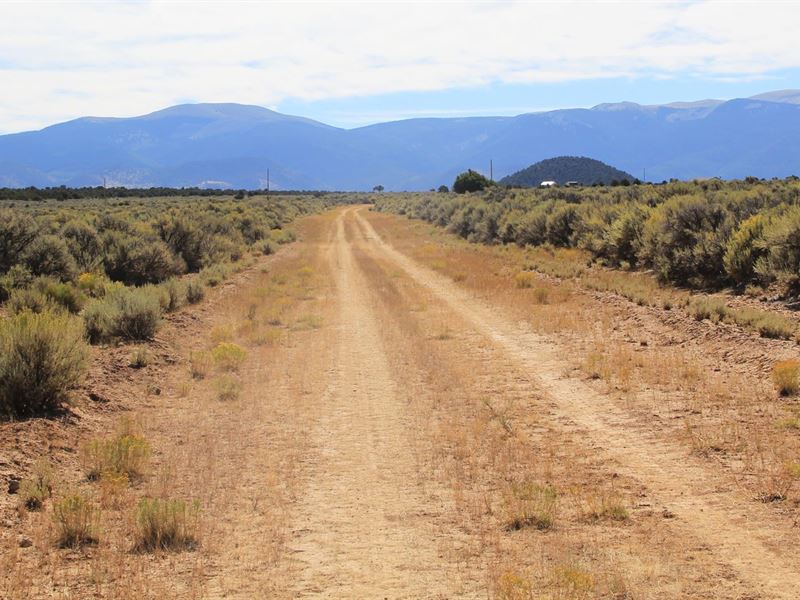 Land of Freedom in Costilla County : San Luis : Costilla County : Colorado