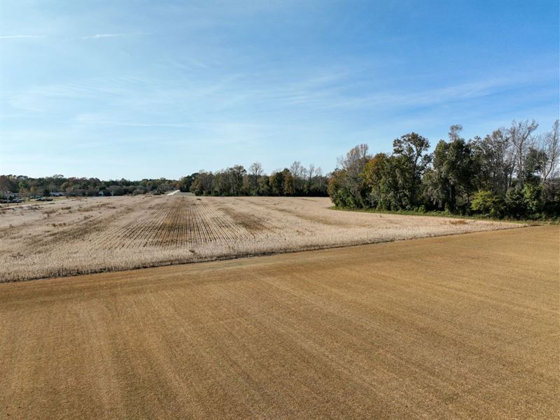26 Acres in Onslow County, NC, Farm for Sale by Owner in North Carolina