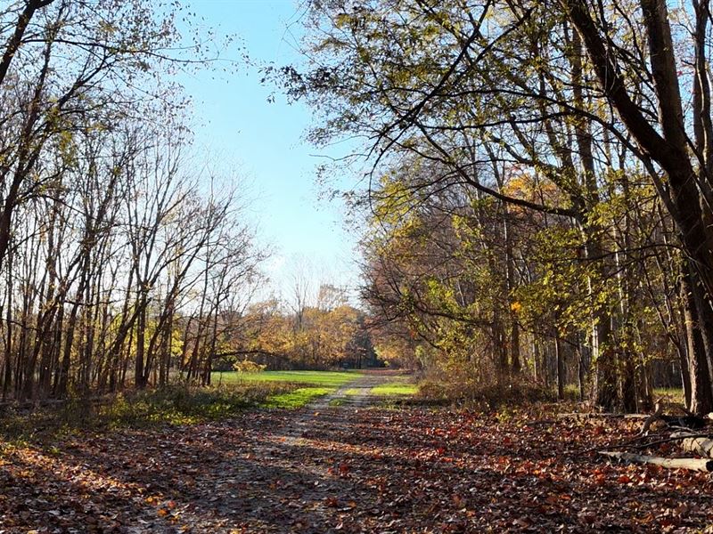 Black Bayou Stock Share, Farm for Sale in Mississippi, 364788 FARMFLIP