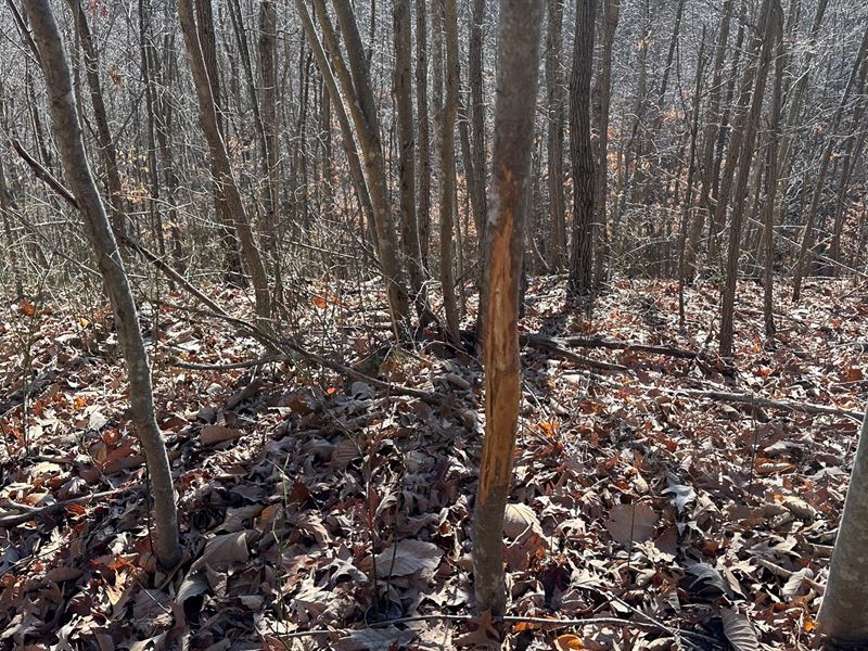 Scioto County, Ohio, Farm for Sale in Ohio, 364852 FARMFLIP