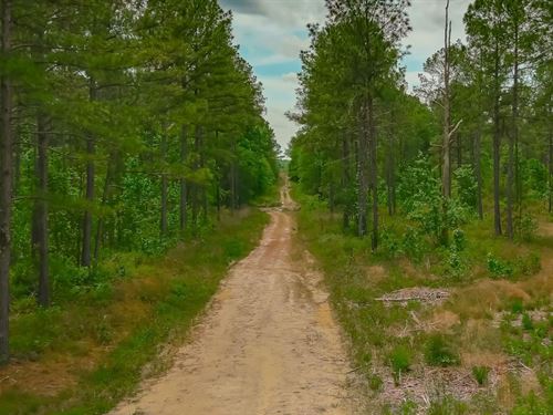 Bucks 6/7 Tract 3 : Conway : Horry County : South Carolina