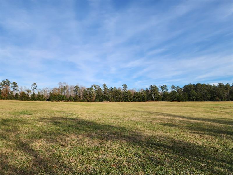 256 Acres, 600 Beaverdam Creek, Farm for Sale in South Carolina