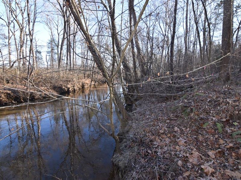 Willis River Tract, Lot 3, Farm for Sale in Virginia, 365029 FARMFLIP