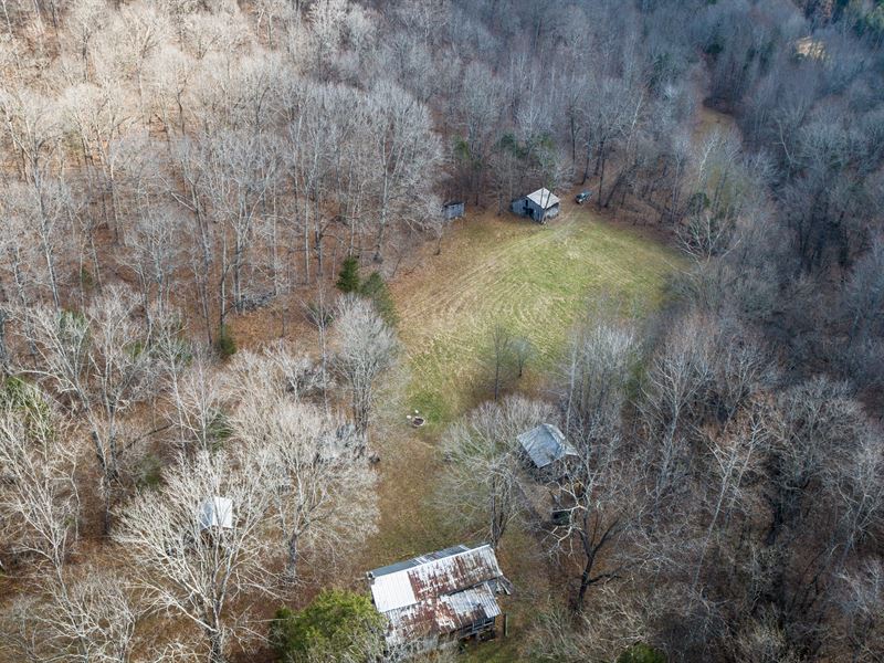 72 Acre Farm with Dogtrot Cabin, Farm for Sale in Tennessee, 365101