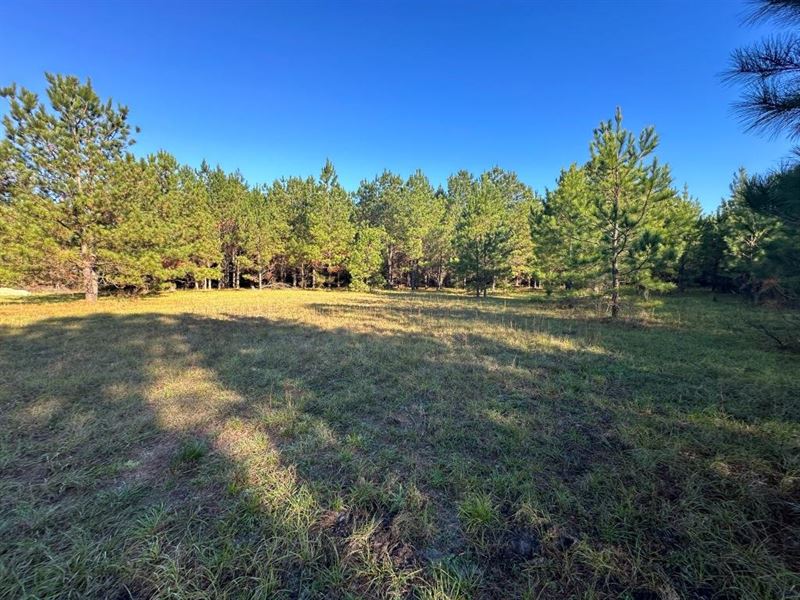 South Screven Pines, Farm for Sale in 365183 FARMFLIP