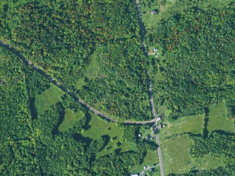 1141K Sqft in Ellenburg, NY, Farm for Sale by Owner in New York