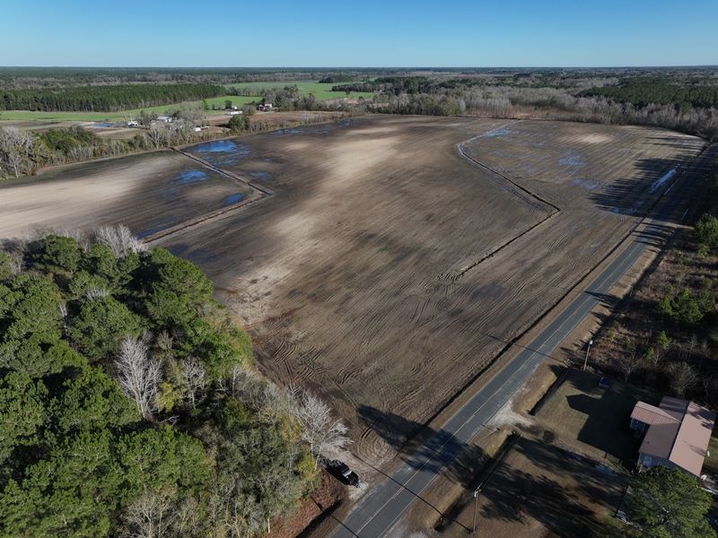 Fertile Farm in Bladen County, NC, Farm for Sale in North Carolina