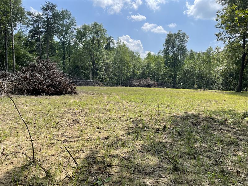 Exceptional Hunting Land in Crofton, Farm for Sale in Kentucky, 365620