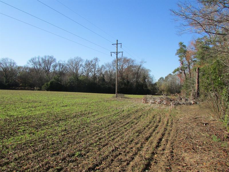 Reynolds Lamar East Tract, Farm for Sale in South Carolina, 365713 FARMFLIP