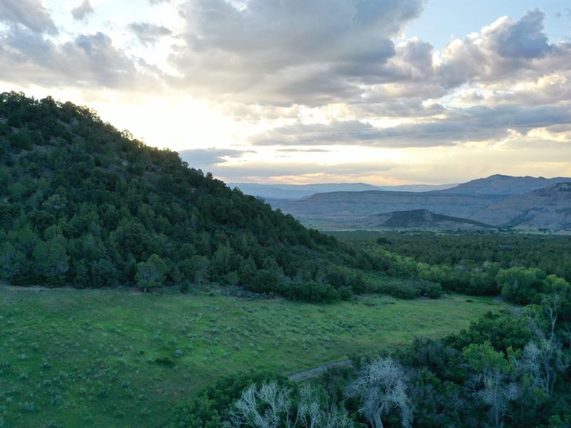 Molina Acres : Molina : Mesa County : Colorado