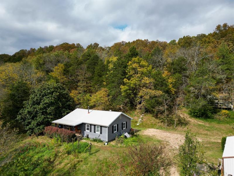 Wildlife Homestead, Farm for Sale in Missouri, 365724 FARMFLIP